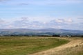 Sheep grassy sea shore, distant hills, Lancashire