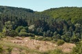 Sheep graze on the background of the green Carpathians Royalty Free Stock Photo