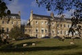 Sheep grazing in Bath, Somerset