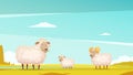 Sheep Grazing On Farmland Cartoon Poster