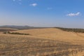 Sheep grazing fields and cereal cultivation