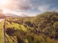 Sheep grazing grass behind a fence by a road, Royalty Free Stock Photo