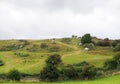 Sheep grazing on a hill in rough hilly pasture with moorland plants and boulders in cumbria near Cartmel