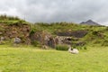 Sheep grazing on hills of connemara in ireland