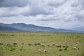 Sheep grazing in Landscape stormy panorama view from the border of Utah and Idaho from Interstate 84, I-84, view of rural farming, Royalty Free Stock Photo