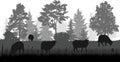 Sheep grazing in meadow near forest, silhouette. Rural scene. Vector illustration