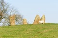 Sheep grazing near the last of the Nine Stone Circle in Derbyshire