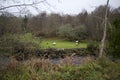 Sheep grazing next a stream, Kenmare, Ireland