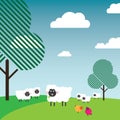 Sheep grazing in a pasture with trees and birds Royalty Free Stock Photo