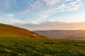 A rural South Downs landscape of a sheep on a hillside, near Lewes in Sussex Royalty Free Stock Photo