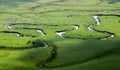 Sheep in the green highland meander landscape