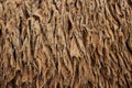 Sheep hair (Texture) Royalty Free Stock Photo