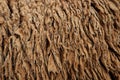 Sheep hair (Texture) Royalty Free Stock Photo