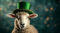 Sheep in a hat for St. Patrick's Day. Selective focus. Royalty Free Stock Photo