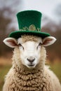 Sheep in a hat for St. Patrick's Day. Selective focus. Royalty Free Stock Photo