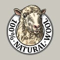 Sheep head. 100 Natural wooll lettering. Vintage vector engraving illustration Royalty Free Stock Photo