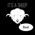 Sheep Head saying baa Royalty Free Stock Photo