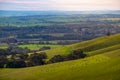 Sheep herd grazing at the countryside. Forest and vineyards at the background. Idyllic layers landscape at sunset time. Barossa