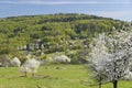 Sheep herd in Polana mountains, Slovakia Royalty Free Stock Photo