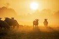 Sheep herd silhouette at sunrise