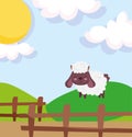 Sheep hill fence sunny day farm animal cartoon