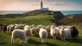 sheep on the hill lighthouse is surrounded by a herd of sheep