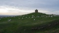 Sheep on a hillside at Burton Dassett Country Park in Warwickshire England Royalty Free Stock Photo