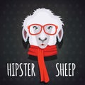 Sheep hipster dressed in red scarf Royalty Free Stock Photo