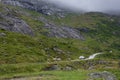 Sheep holding up traffic along the Norwegian scenic route Gaularfjellet Royalty Free Stock Photo