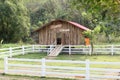 Sheep house in a farm Royalty Free Stock Photo