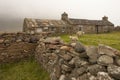 Sheep and hut on an Orkney island Royalty Free Stock Photo