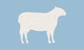 Sheep silhouette. Sheep icon isolated on blue background. Graphic design for meat shop, grocery, farmers market. Vintage typograph Royalty Free Stock Photo