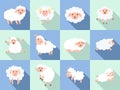 Sheep icon set, flat style Royalty Free Stock Photo