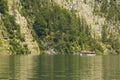 Sheep on the lake of KÃÂ¶nigsee, Berchtesgaden National Park, Ger