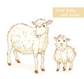 Sheep and lamb Royalty Free Stock Photo