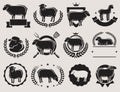 Sheep and lamb labels set. Vector