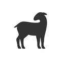 Sheep, lamb, symbol of sacrifice and obedience Royalty Free Stock Photo