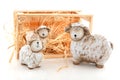 Sheep and lambs Royalty Free Stock Photo