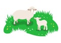 Sheep and her cute little lamb grazing in green meadow Royalty Free Stock Photo