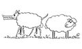 Sheep Looking at Wolf in Sheep's Clothing, Vector Cartoon Illustration Royalty Free Stock Photo