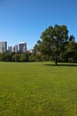 Sheep Meadow Royalty Free Stock Photo