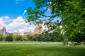 The Sheep Meadow at Central Park in New York City on a summer da