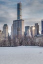 Sheep Meadow in the Winter, NYC