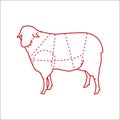 Sheep Meat Chart Vector for Butchers