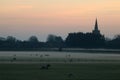 Sheep, mist in fields, December evening, Pilling