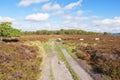 Sheep on the Derbyshire moors in autumn Royalty Free Stock Photo