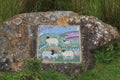 Sheep mosaic, North Yorkshire