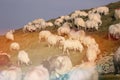 Sheep on mountain peaks Royalty Free Stock Photo