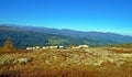 Sheep in the mountains