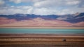 Sheep, mountains and the sacred lake in Tibet